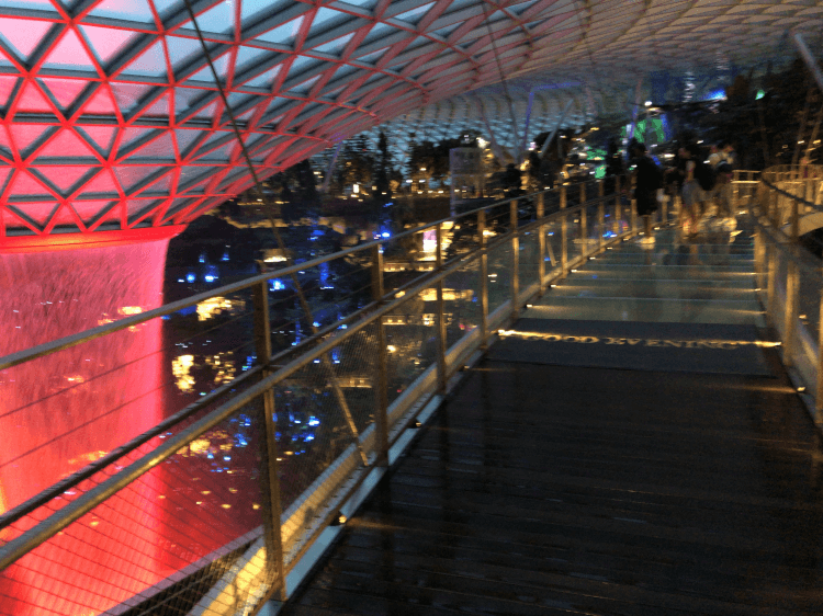 Canopy Bridge と Rain Vortex